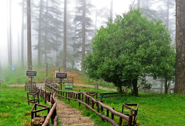 Dhanaulti